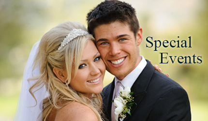 Special Event Photoshoot, Special Event Photography, Wedding Photoshoot, Wedding Photography, Wedding Videography East Gwillimbury, Barrie, York Region, GTA, Ontario